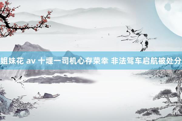 姐妹花 av 十堰一司机心存荣幸 非法驾车启航被处分