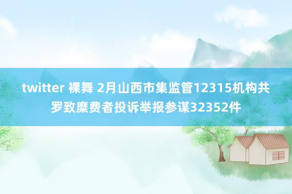 twitter 裸舞 2月山西市集监管12315机构共罗致糜费者投诉举报参谋32352件