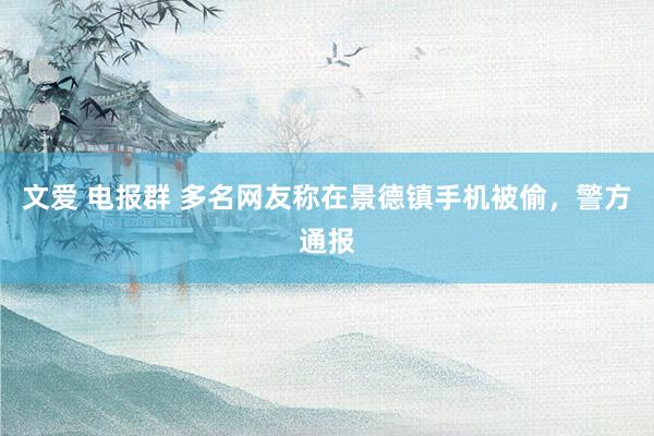 文爱 电报群 多名网友称在景德镇手机被偷，警方通报