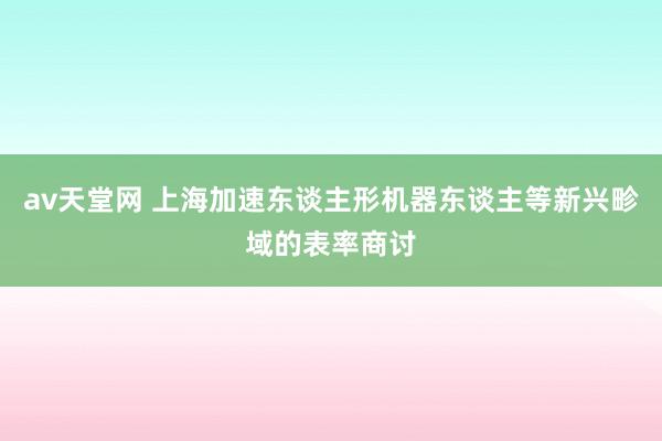 av天堂网 上海加速东谈主形机器东谈主等新兴畛域的表率商讨