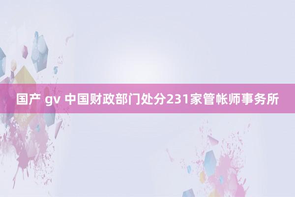 国产 gv 中国财政部门处分231家管帐师事务所