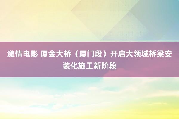 激情电影 厦金大桥（厦门段）开启大领域桥梁安装化施工新阶段