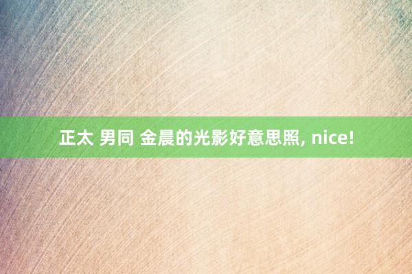 正太 男同 金晨的光影好意思照, nice!