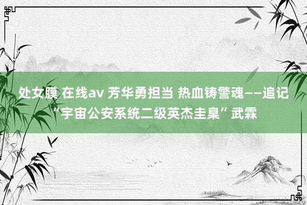 处女膜 在线av 芳华勇担当 热血铸警魂——追记“宇宙公安系统二级英杰圭臬”武霖