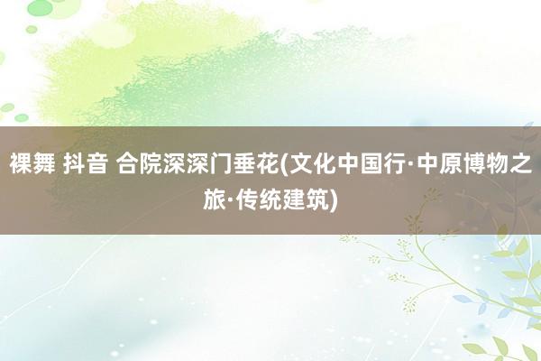 裸舞 抖音 合院深深门垂花(文化中国行·中原博物之旅·传统建筑)