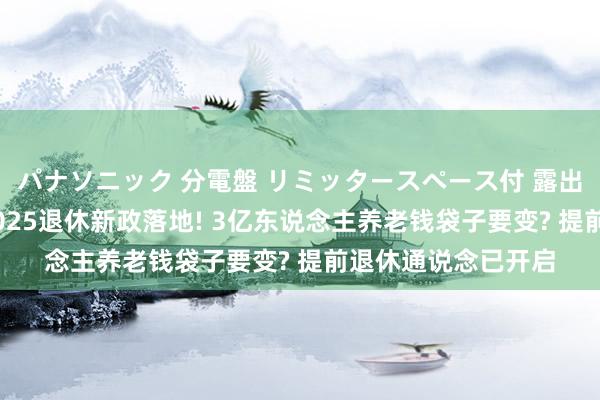 パナソニック 分電盤 リミッタースペース付 露出・半埋込両用形 2025退休新政落地! 3亿东说念主养老钱袋子要变? 提前退休通说念已开启