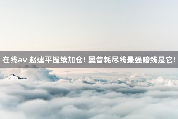 在线av 赵建平握续加仓! 曩昔耗尽线最强暗线是它!