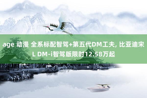 age 动漫 全系标配智驾+第五代DM工夫, 比亚迪宋L DM-i智驾版限时12.58万起