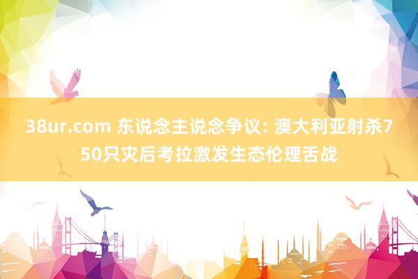 38ur.com 东说念主说念争议: 澳大利亚射杀750只灾后考拉激发生态伦理舌战
