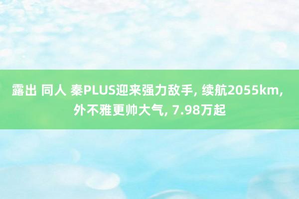 露出 同人 秦PLUS迎来强力敌手, 续航2055km, 外不雅更帅大气, 7.98万起