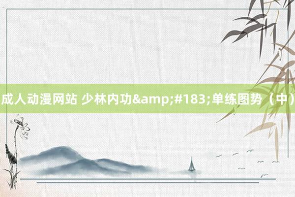 成人动漫网站 少林内功&#183;单练图势（中）