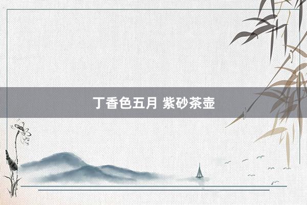 丁香色五月 紫砂茶壶