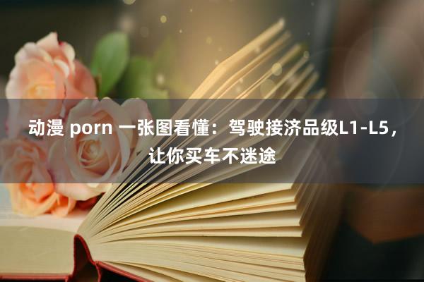 动漫 porn 一张图看懂：驾驶接济品级L1-L5，让你买车不迷途