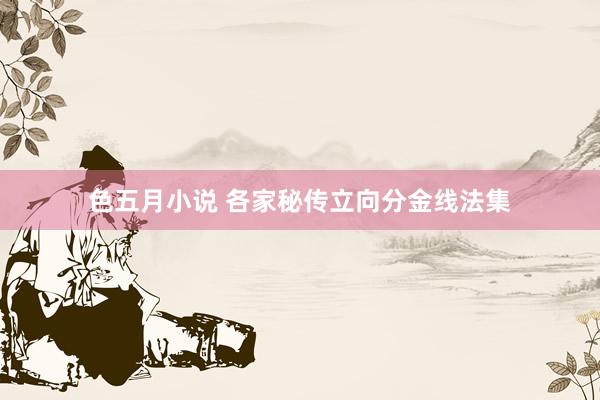 色五月小说 各家秘传立向分金线法集