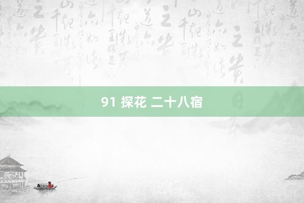 91 探花 二十八宿