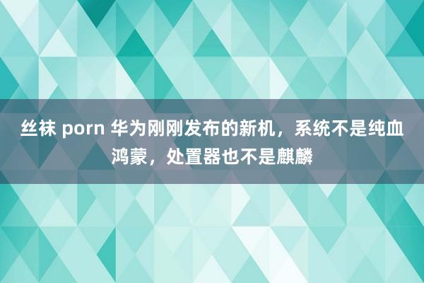 丝袜 porn 华为刚刚发布的新机，系统不是纯血鸿蒙，处置器也不是麒麟