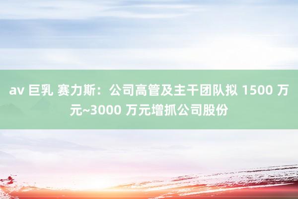 av 巨乳 赛力斯：公司高管及主干团队拟 1500 万元~3000 万元增抓公司股份