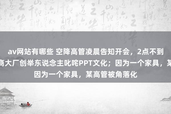 av网站有哪些 空降高管凌晨告知开会，2点不到成果严重；电商大厂创举东说念主叱咤PPT文化；因为一个家具，某高管被角落化
