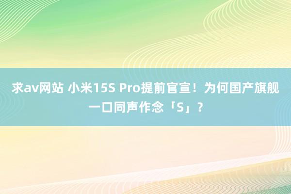 求av网站 小米15S Pro提前官宣！为何国产旗舰一口同声作念「S」？