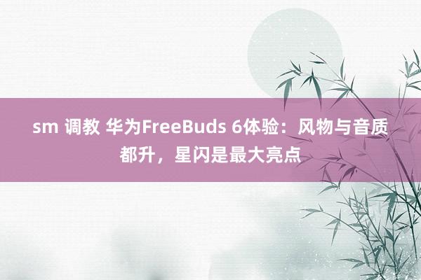 sm 调教 华为FreeBuds 6体验：风物与音质都升，星闪是最大亮点